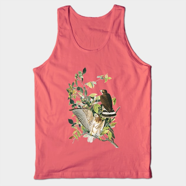 Audubon Broad-winged Hawk Tank Top by Dystopianpalace